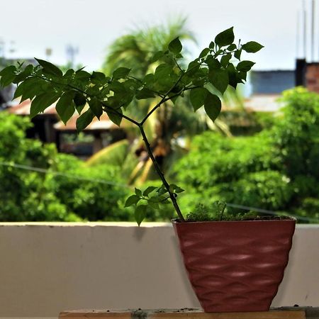 Flor Del Valle Posada Tarapoto Exterior photo