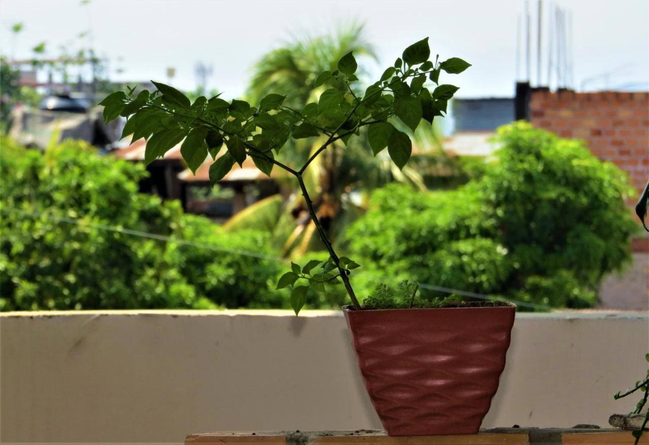 Flor Del Valle Posada Tarapoto Exterior photo